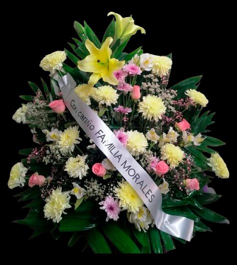 Flores rosas — Florella